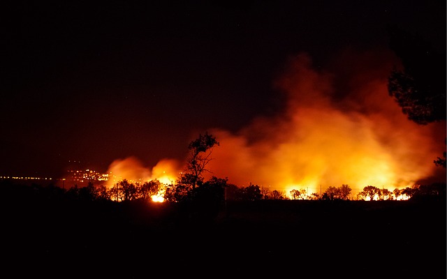 Grupo ODS - Incendios forestales - Patrimonio Natural español - Incendios en España