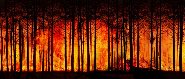 Grupo ODS - Incendios forestales - Patrimonio Natural español - Incendios en España